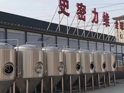 陆丰精酿啤酒设备厂—如何判断精酿啤酒设备的密封件需要更换？